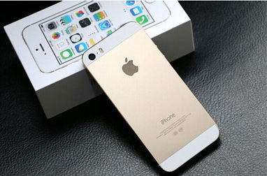 苹果5s降低版本,科技术语评估说明|LE版_v5.738