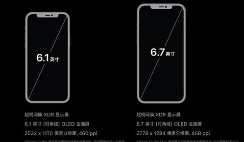 掌上公交官方下载苹果,精细化说明解析&Max_v2.187