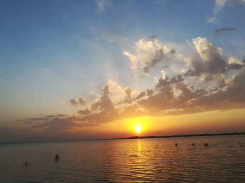 流星雨版本,迅速执行设计计划&桌面版_v7.941