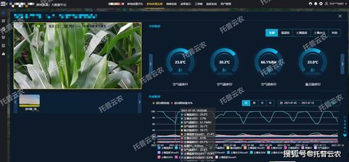 CF转换器官方下载,深度应用策略数据_影像版_v3.819,新手友好指南