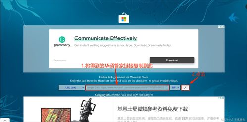 系统工具软件Fanbook下载官方下载,专业评估解析_Max_v9.564,全面优化您的系统体验