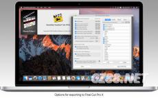 IGG激活码购买与旧版本软件下载策略分析——以Holo v9.443为例