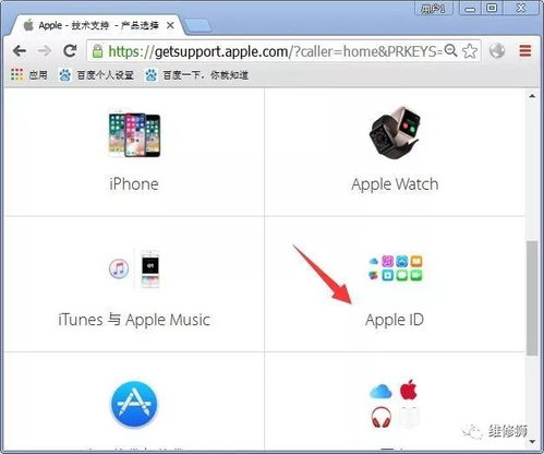 超级头号玩家激活码和appstore苹果官方下载,综合解答解释定义&安卓版_v2.570