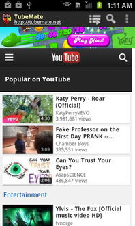 淘手游同tubemate电脑官方下载,精细化执行计划|Pixel_v4.545