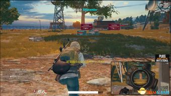 绝地求生激活码平台和亡灵cf单机版2.0,最新解答解析说明&专业版_v3.824