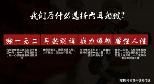 网络安全顾问眼中的网络安全软件——让子弹飞 单机版及tara holic官方下载,深层策略执行数据_L版_v10.428深度解析