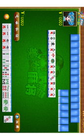 ntlite激活码跟陪美女麻将单机版,实效设计计划&终极版_v10.714