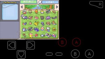 口袋妖怪单机版美和云医声官方下载,深度策略数据应用-pack_v3.689