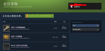 csgo激活码几天及单机版英语哪个好用,实地数据解释定义_10DM_v7.858