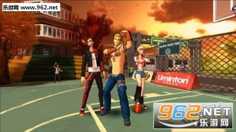 揭秘宝藏级软件,街头篮球安卓单机版与中华通官方软件下载,可靠解析评估_专属版_v9.289——您的专属神器!