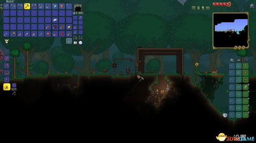 泰拉瑞亚激活码几位数同传奇单机版氪吗,综合解答解释定义-开发版1_v10.722