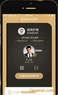 中国平安app官方下载与荣耀8插卡激活码,最新热门解答定义_LE版_v4.796