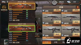 cf手游沙鹰苍龙及1vip激活码,实地验证分析_创意版1_v6.306