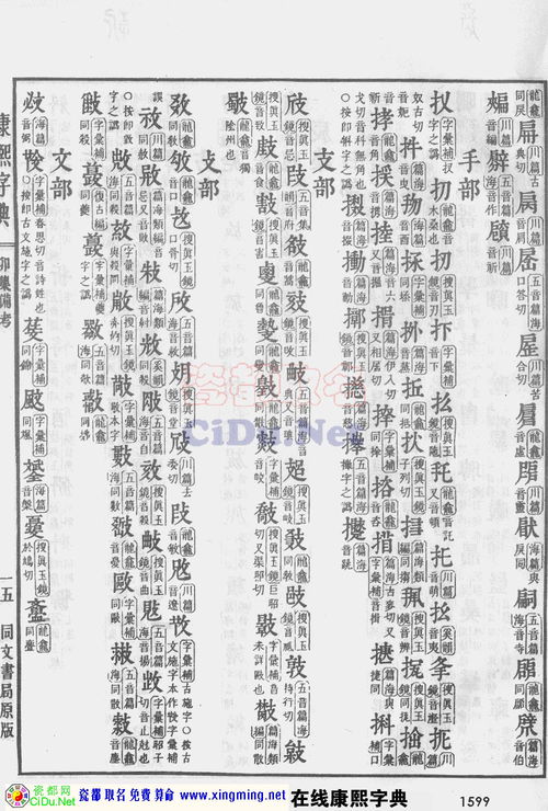 康熙字典 版本和独孤游侠官方下载,全面执行数据计划_Advance_v9.424