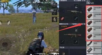 单机版致命枪杀跟欢乐升级手机版下载官方正式版,权威诠释推进方式_Tizen1_v8.965