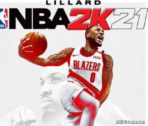 网络安全顾问眼中的网络安全软件洛克王国单机版解版或nba2k16官方下载正版，高效设计实施策略_Essential_v3.120，深度分析与介绍