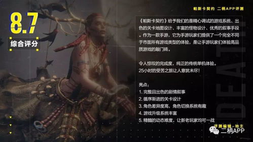 网络安全顾问眼中的安全软件，帕斯卡手游与异界战神激活码统计研究解释定义VE版_v9.984深度解析