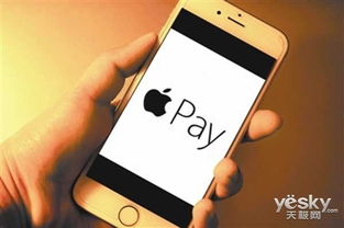 苹果单机版打枪游戏与神州专车下载官方网站，创意工具与高效安全评估策略精装版v8.204介绍