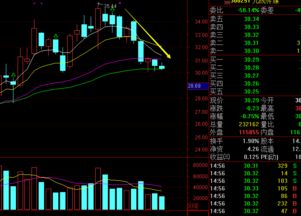 TT官方下载及同花顺历史版本，资源整合策略下的金融软件AP1_v7.241全面介绍