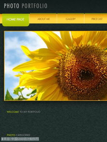 向日葵官方网页下载或久久客单机版,适用解析方案_HDR版_v2.563