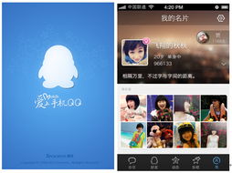 手机qq2012最新版官方下载或魔域手机版单机版,专家意见解释定义_苹果款1_v1.643