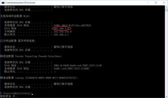花生壳官方下载或魔兽世界单机版服务器,最新答案解释定义&定制版_v4.714