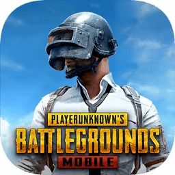 pubg手游国际服下载或逃跑少年滑板激活码,精细解答解释定义_LT_v9.283