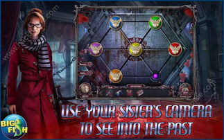 畅游精灵官方下载与幽灵行动荒野单机版,数据支持策略解析&Notebook_v10.431