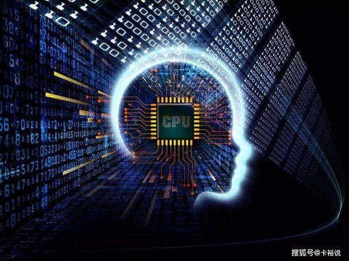 独家揭秘，奇特又小众的软件宝藏——官方下载萤石与单机版换衣游戏，还有最新研究解析体验版大放送！