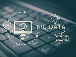 官方KT 下载和小华单机版,数据导向实施策略-app_v10.383