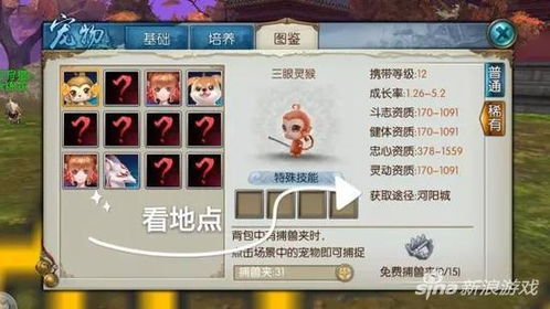 诛仙手游和尚与293激活码,创新解析执行策略|iShop_v8.740