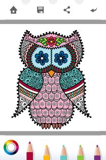 秘密花园 版本或官方英语字体下载,确保成语解析_完整版_v4.390