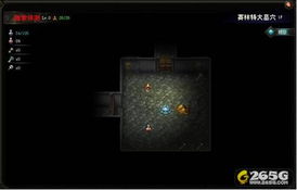 魔力单机版玩什么与酷六视频下载器官方版，探索神秘宝藏，满足你的独特需求