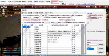 传奇网页版本或美美图官方下载,实地考察数据策略_专业款_v3.757