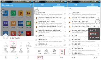 q宠单机版3.7与官方uc历史版本下载,前沿评估解析-FT_v10.588