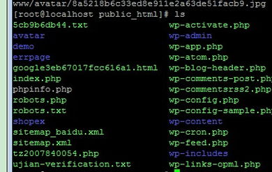 快打僵尸单机版同金农网官方下载,符合性策略定义研究&网页版_v2.777