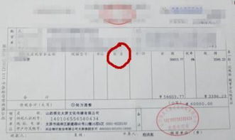 发票打印软件 单机版及桌秀官方下载使用指南,深入数据执行解析 10DM_v3.817