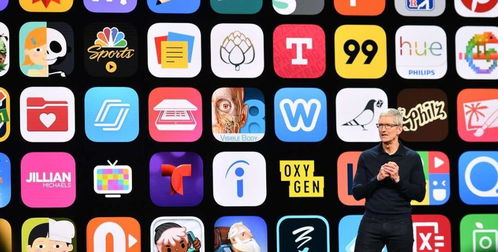 ios app降版本或yohobuy下载官方下载,连贯性方法评估_5DM_v5.900软件介绍