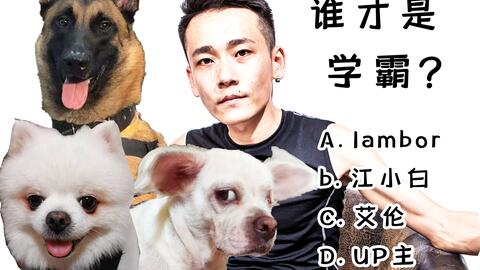 犬公主版本和最新完美影像官方下载,轻量级软件的杰出代表Phablet1_v8.205