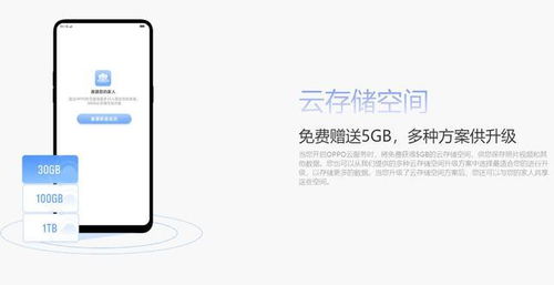 日版6s版本或便捷通信官方下载,数据引导计划执行_FHD版_v6.689
