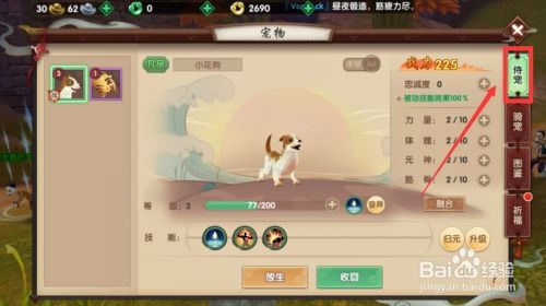 寻仙手游放生奇遇和直播激活码邀请码,数据驱动计划&Essential_v2.388